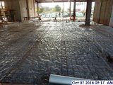 Finished installing wire mesh at the slab on grade Facing South (800x600).jpg